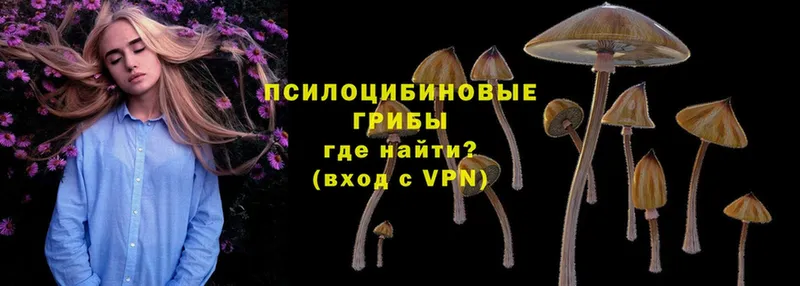 как найти закладки  Верхний Тагил  Галлюциногенные грибы Psilocybine cubensis 